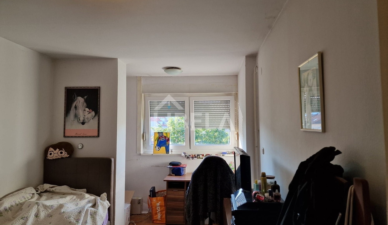 3323_19_1747303369