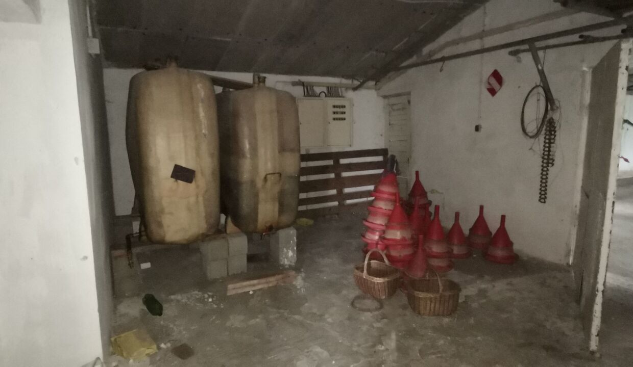 114209_160_15366
