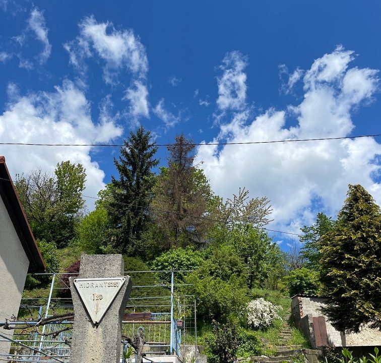114838_20_25604
