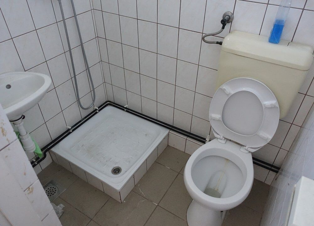 115976_80_41349