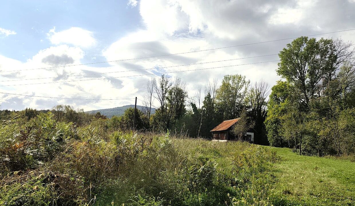 116433_20_46516