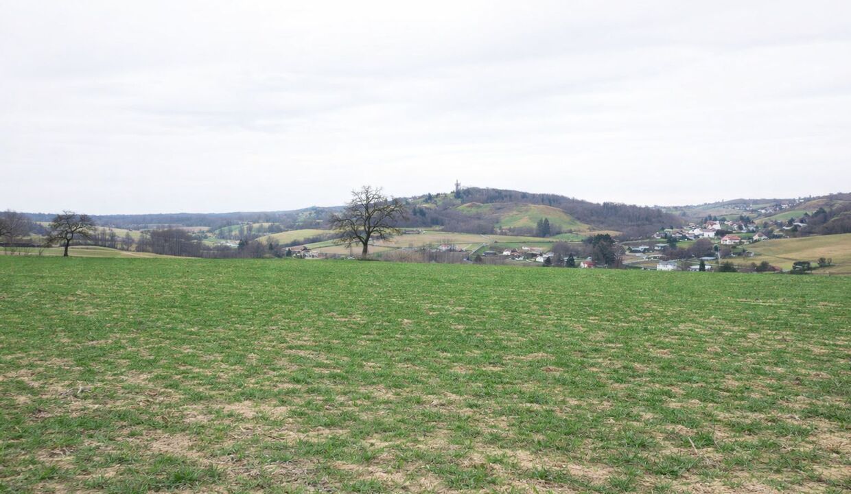 116695_20_49544