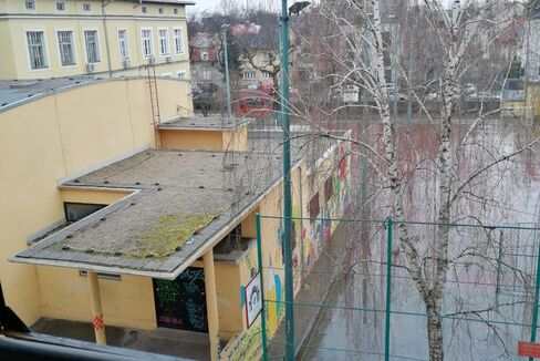 116938_110_9873
