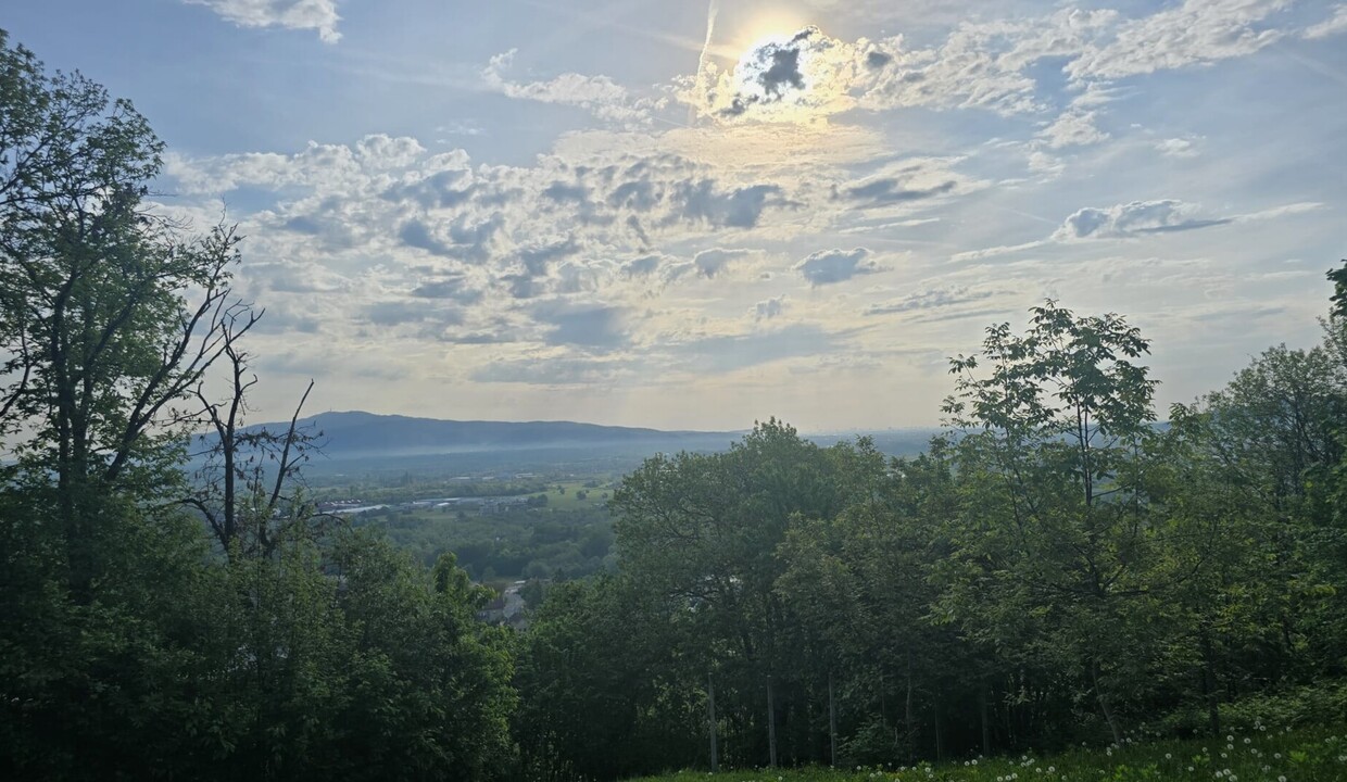 121494_8_1777395659
