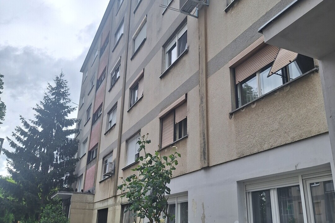 145041_1_1781198713