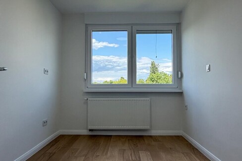 184723_6_1784733381