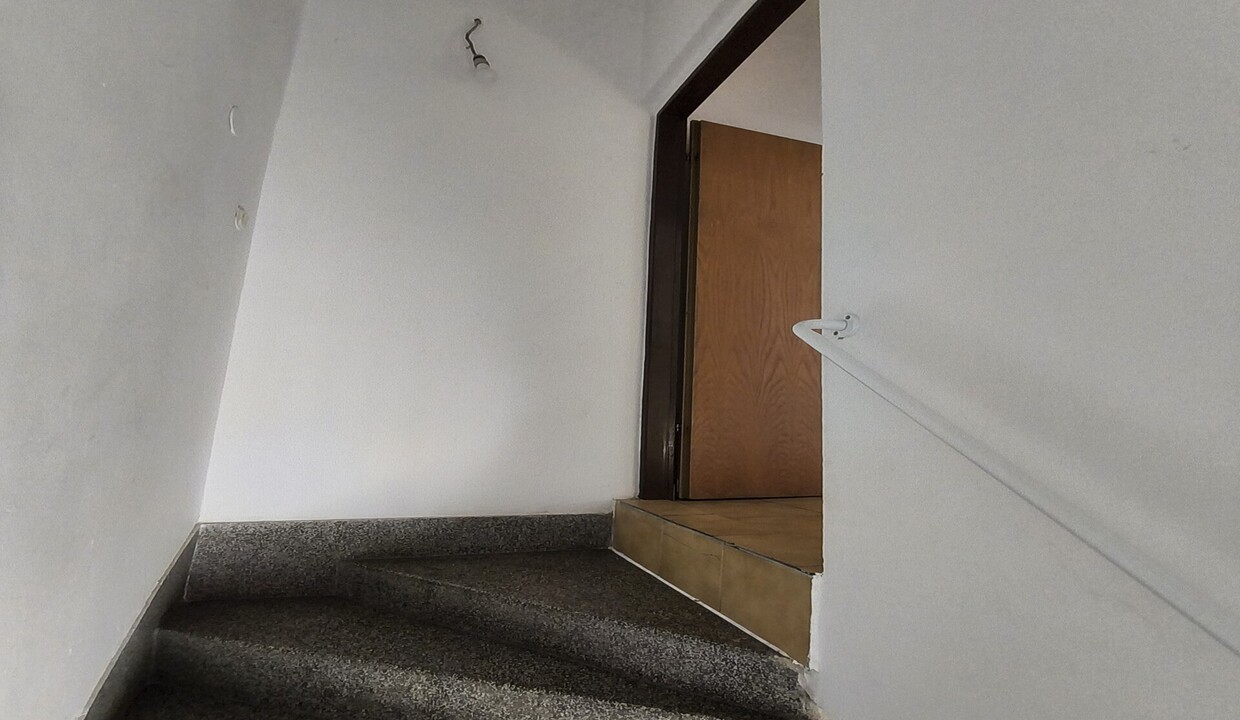 183600_7_1787902299