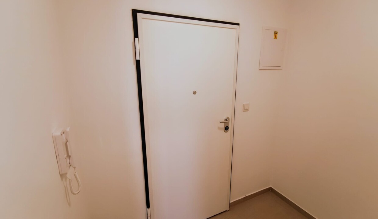 185290_9_1785858919