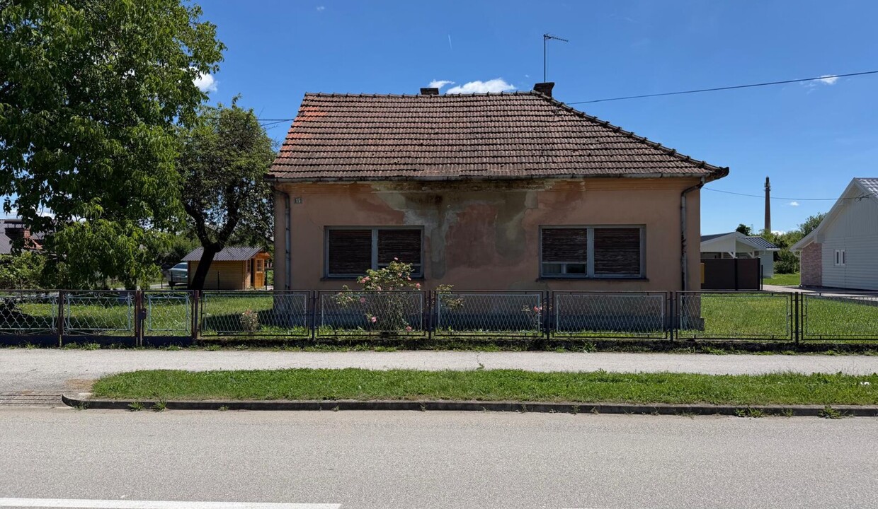 185648_5_1786963419