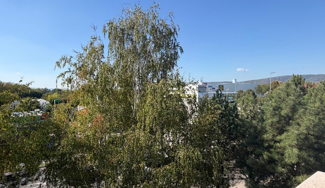 188845_2_1790688511
